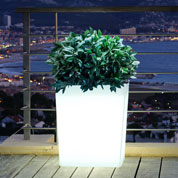 Luminous White Pot - 60x31x H.70